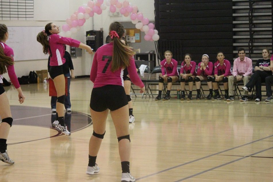 Events, like the Dig Pink Volleyball match, will be limited due to the fundraising policy for LCPS.
