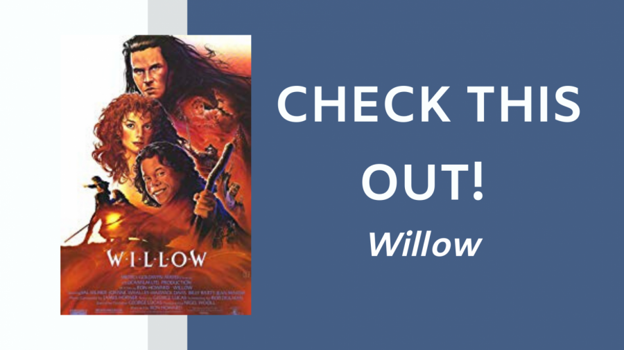 Check This Out: Willow