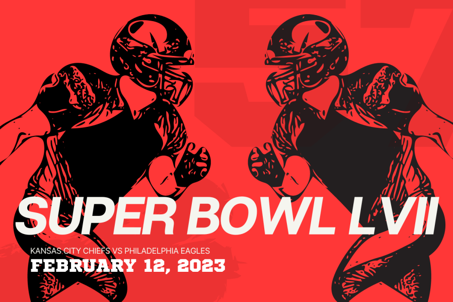 As the game is set to play on Sunday, millions of viewers are getting ready to watch the 57th Super Bowl. 